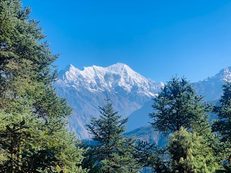 Photo by Saugat Bastakoti