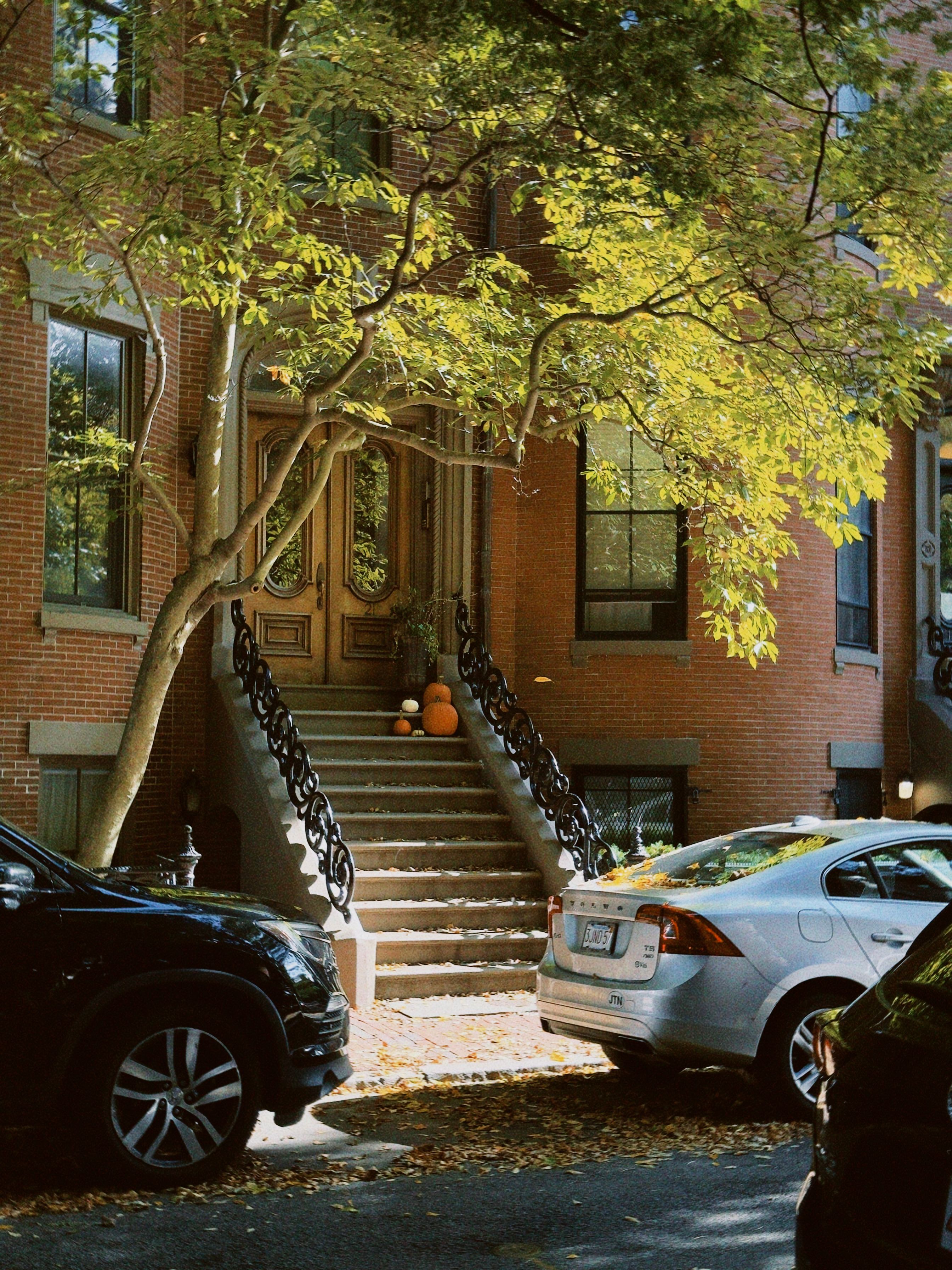 Charming Boston Brownstone with Autumn Decor · Free Stock Photo