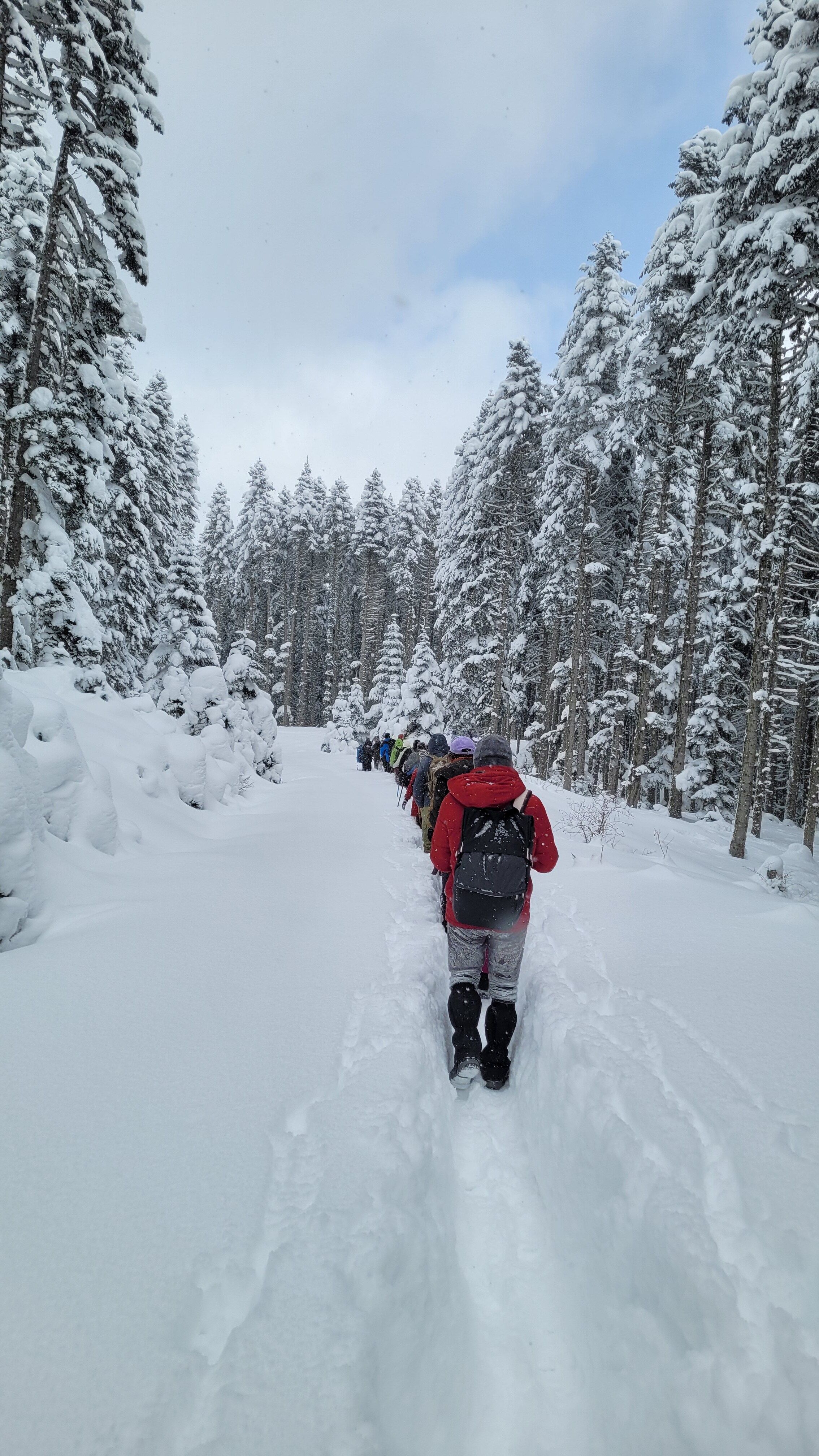 A group of people hiking through a snowy forest, showcasing winter adventure and nature.