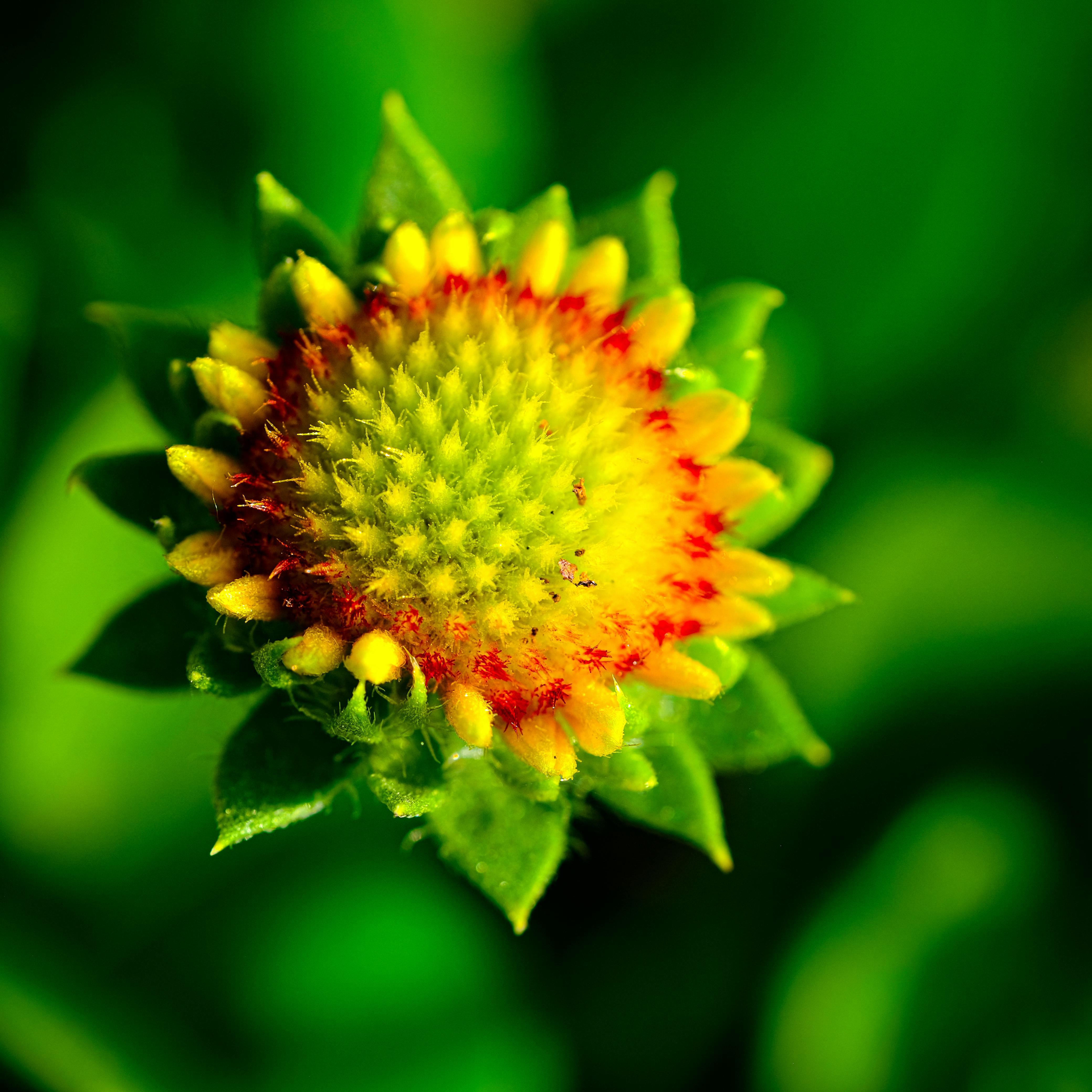 What Is A Balanced Life 1