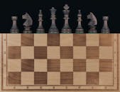 Elegant Wooden Chessboard with Vintage Pieces