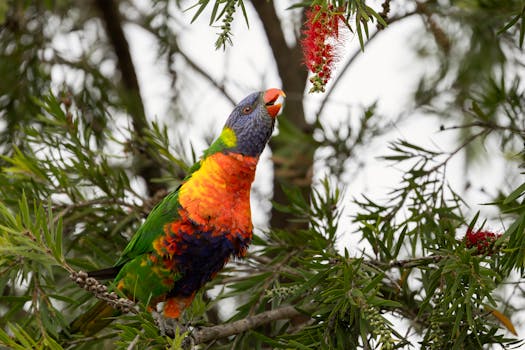 Photo by Stuart  Robinson