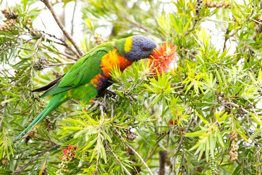 Photo by Stuart  Robinson