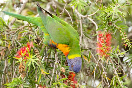 Photo by Stuart  Robinson