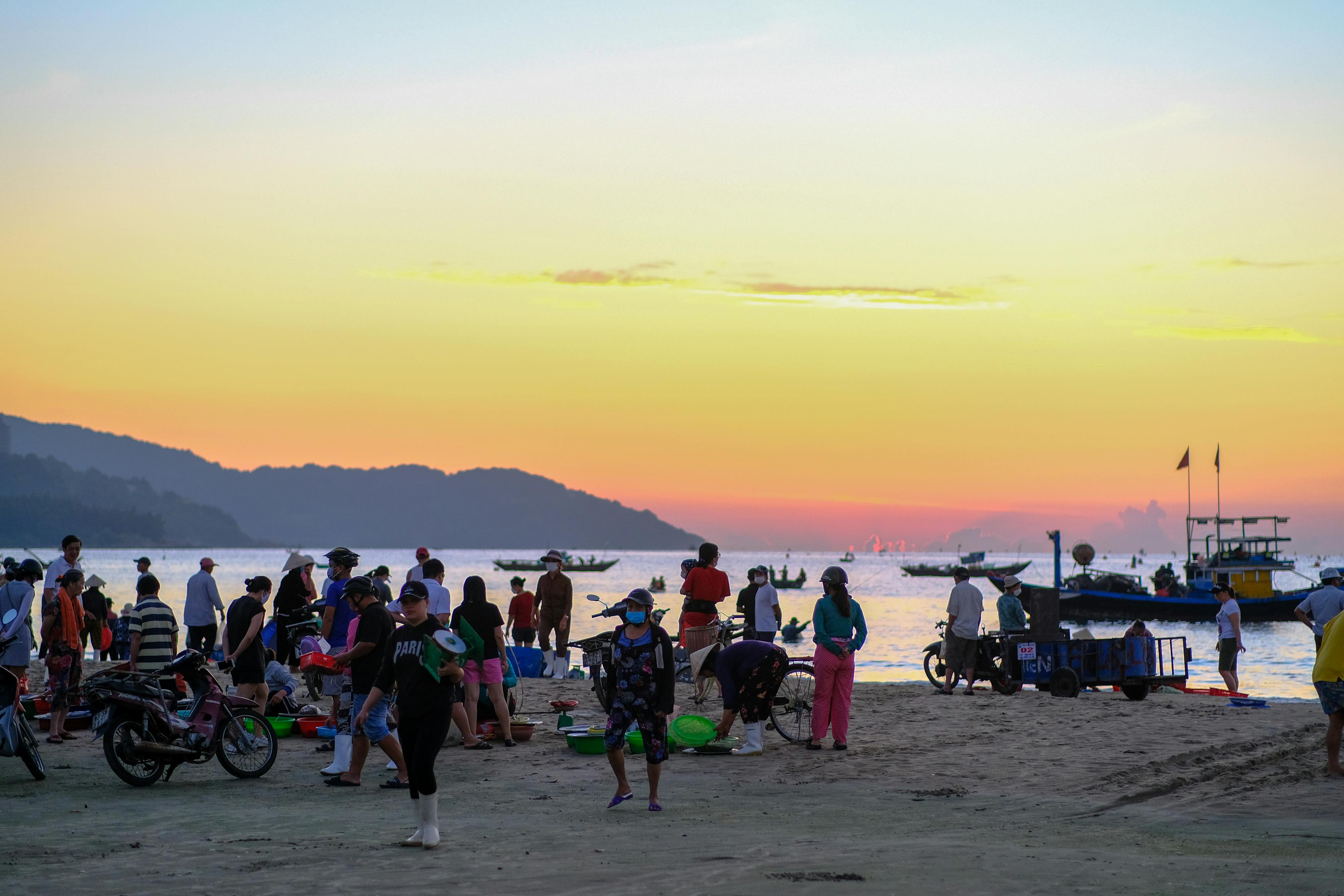 Đỉnh non xa 781 – thu vien, van hoc, van hoc viet nam, tho ca, thanh tam tuyen, dinh hon xa, dinh non xa.