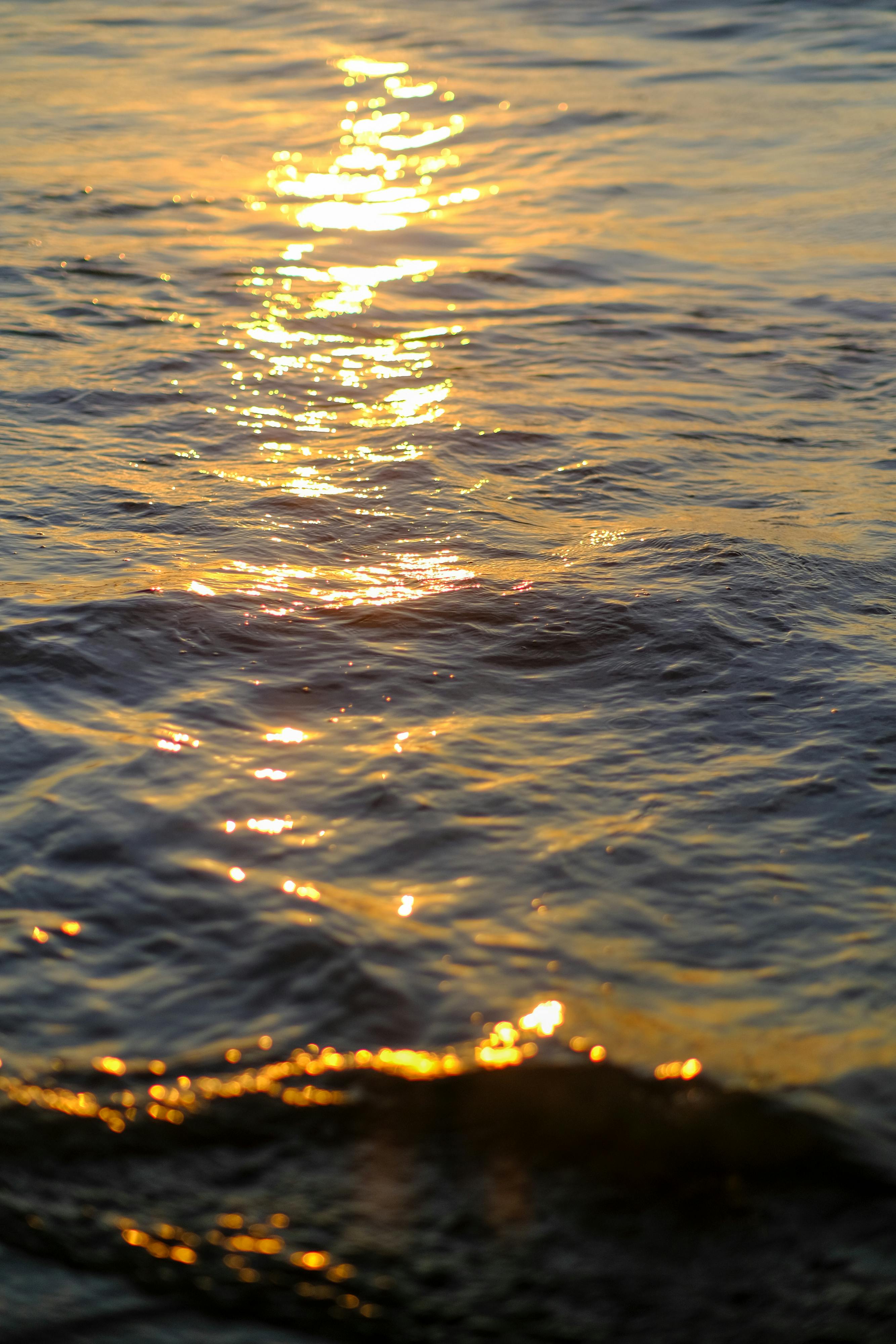 Trung tâm nghiên cứu văn học, phát triển nhà văn Việt Nam