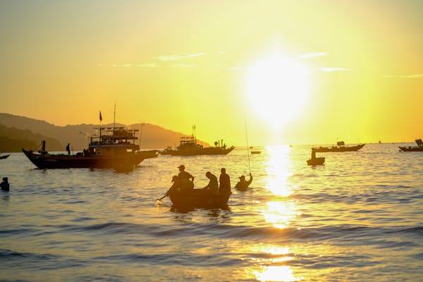 Trung tâm nghiên cứu văn học, phát triển nhà văn Việt Nam