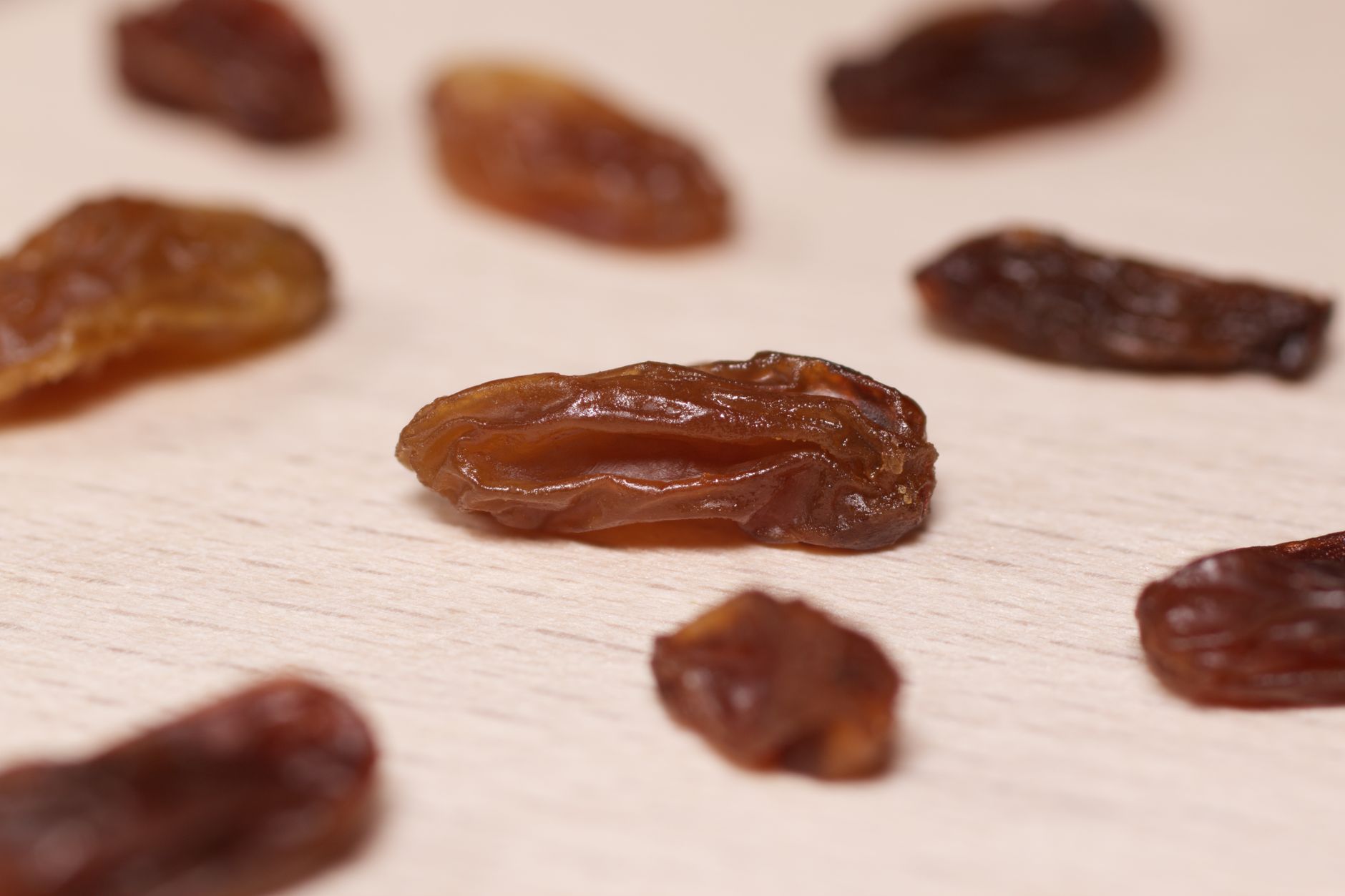 Can Dogs Eat Raisins? The Silent Pantry Toxin Explained