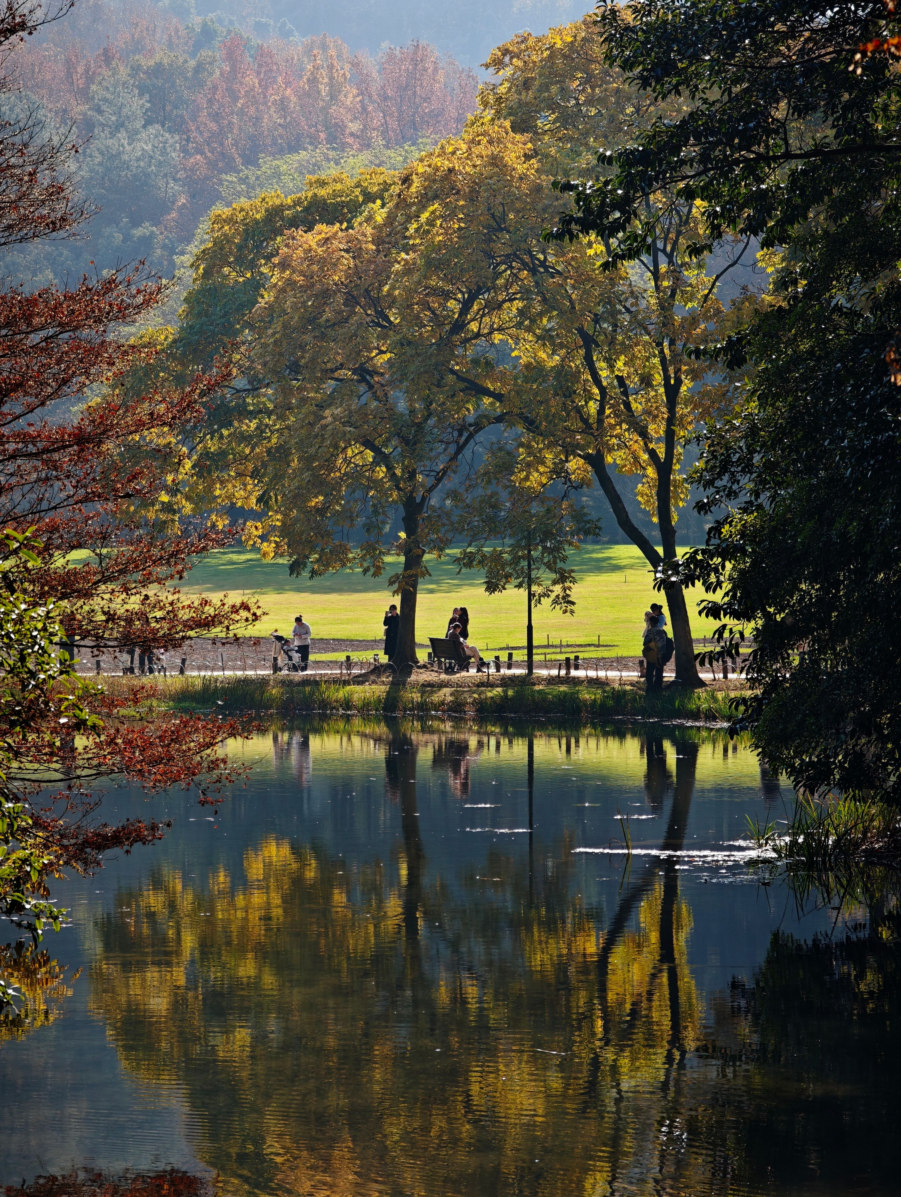 Serene Park View with Reflection in Autumn · Free Stock Photo