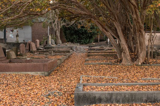 Free stock photo of cemetary setting, colors of fall, field of mars