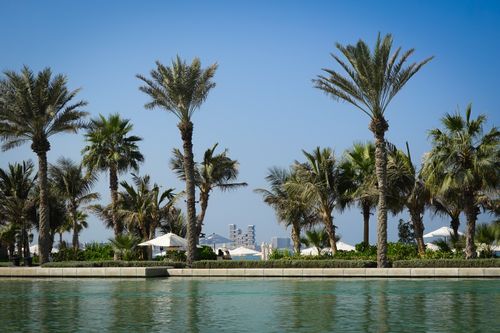 Free A scenic tropical resort with palm trees lining a tranquil waterfront under a clear blue sky. Stock Photo