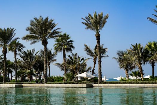 Scenic view of palm trees at a luxurious tropical beach resort.