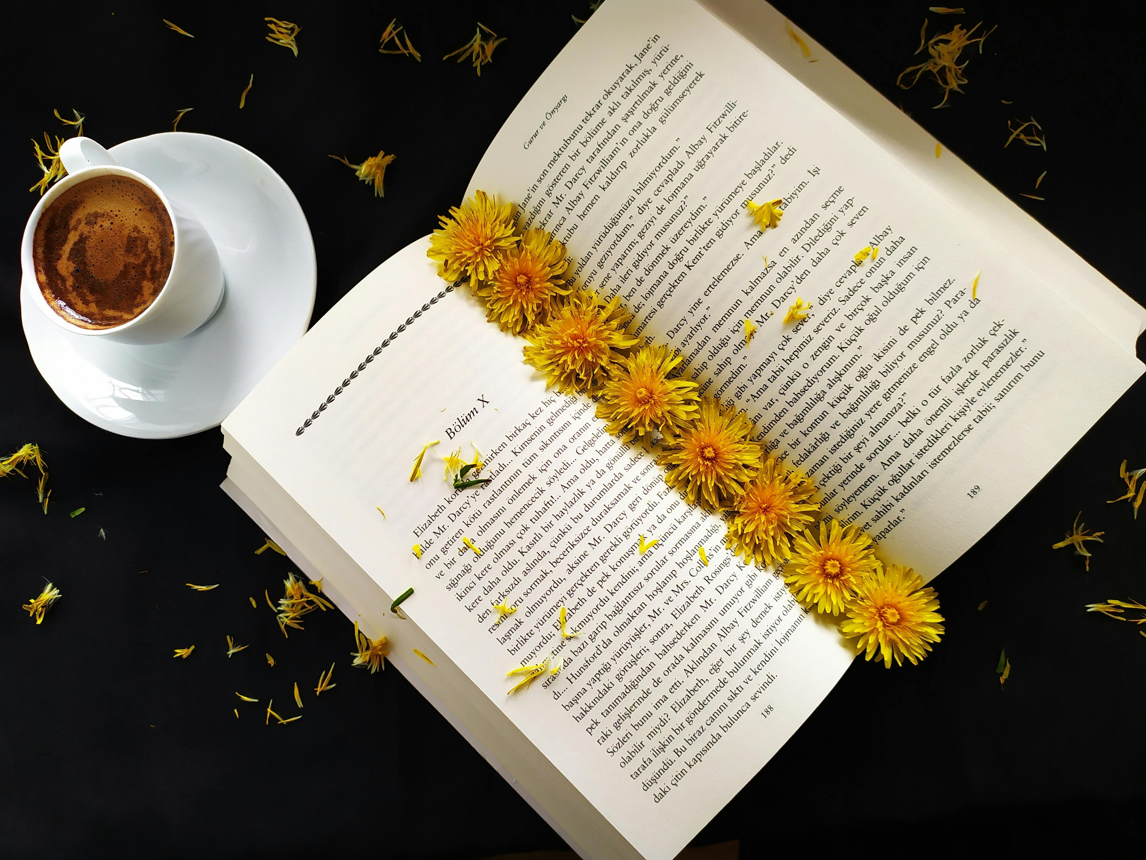 Fotos de León, Castilla y León