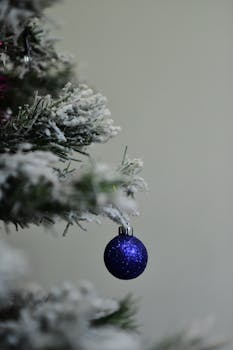 Snow-covered Christmas tree branch with a single blue bauble ornament.