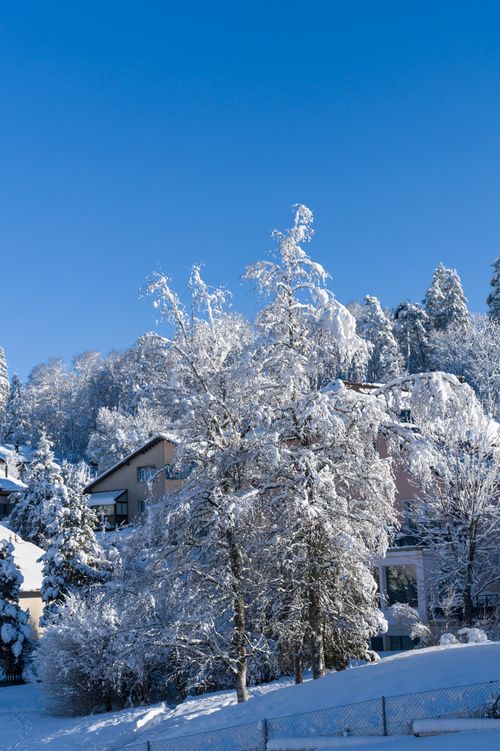 Free A serene snowy landscape in Le Locle, Switzerland under a clear blue sky. Stock Photo
