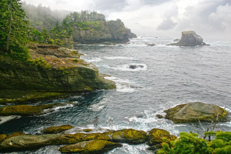Misty coastal cliffs and waves in Olympic National Park, Washington.