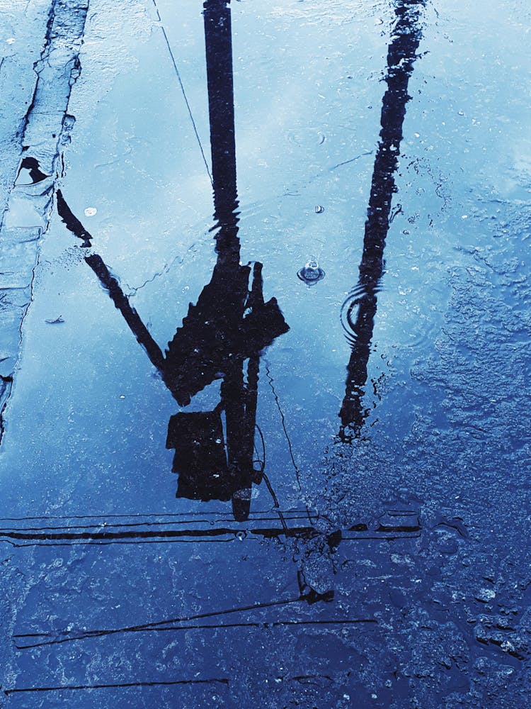 Puddle Reflecting Traffic Light On Street