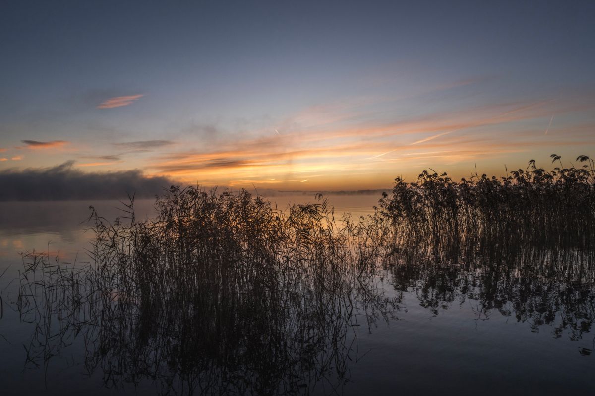 Lake at sunset with reeds silhouetted against orange sky — the serene evening landscape of Lake Biwa's shores in Shiga Prefecture