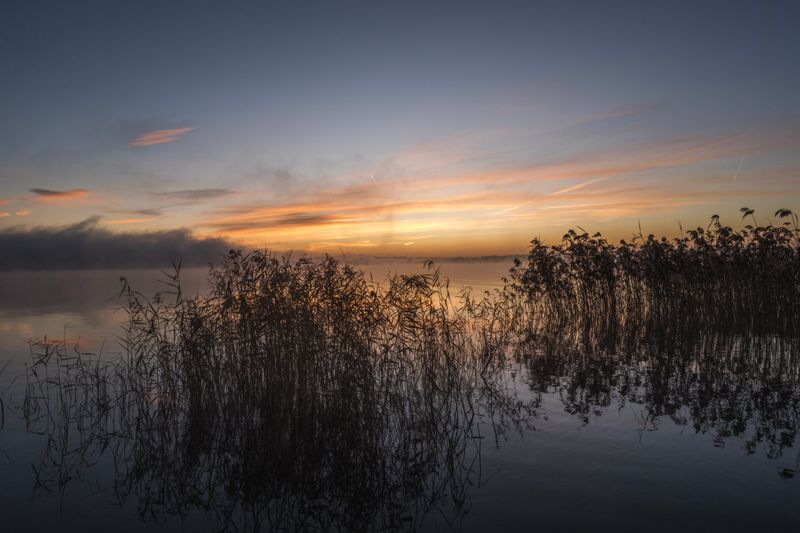 Serene lake at sunset with silhouetted reeds reflecting in still water — the tranquil evening atmosphere of Lake Biwa, Shiga Prefecture
