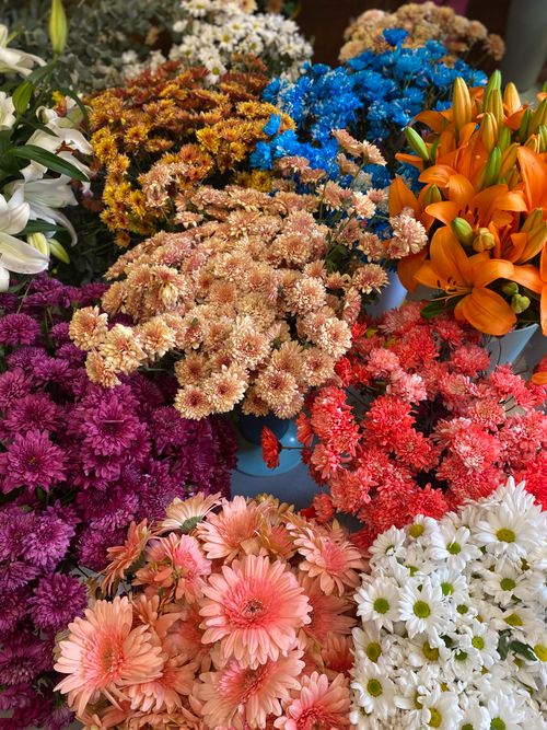 Free A colorful collection of assorted flowers creating a vibrant and lively floral bouquet. Stock Photo