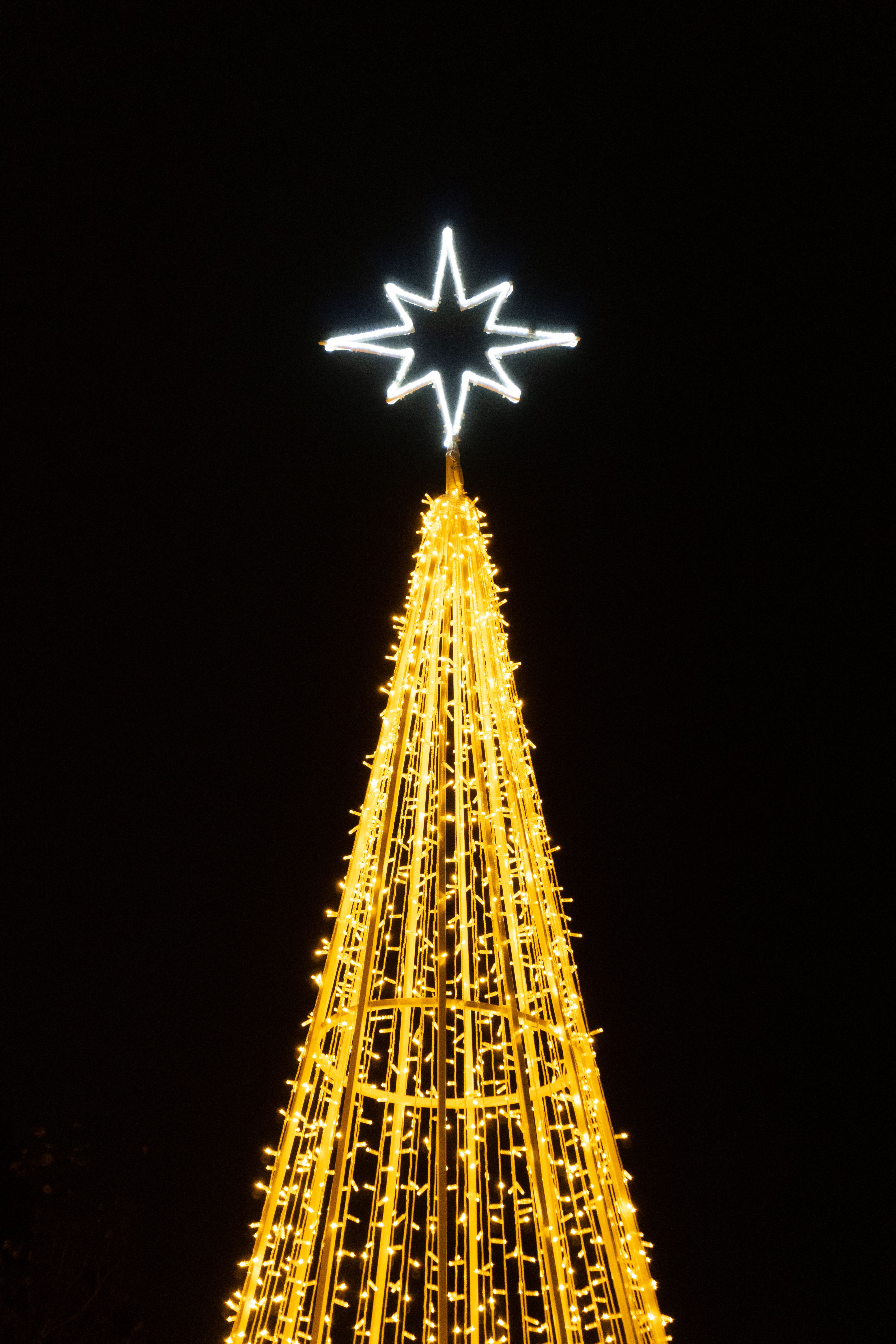 Brightly lit Christmas tree topped with a star against a dark night sky, evoking festive holiday spirit.