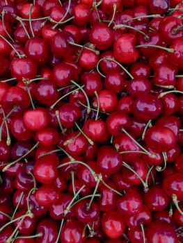 Tart Cherry Berry Tart Cherry Berry Fruit Smoothie Filled Energy Bars