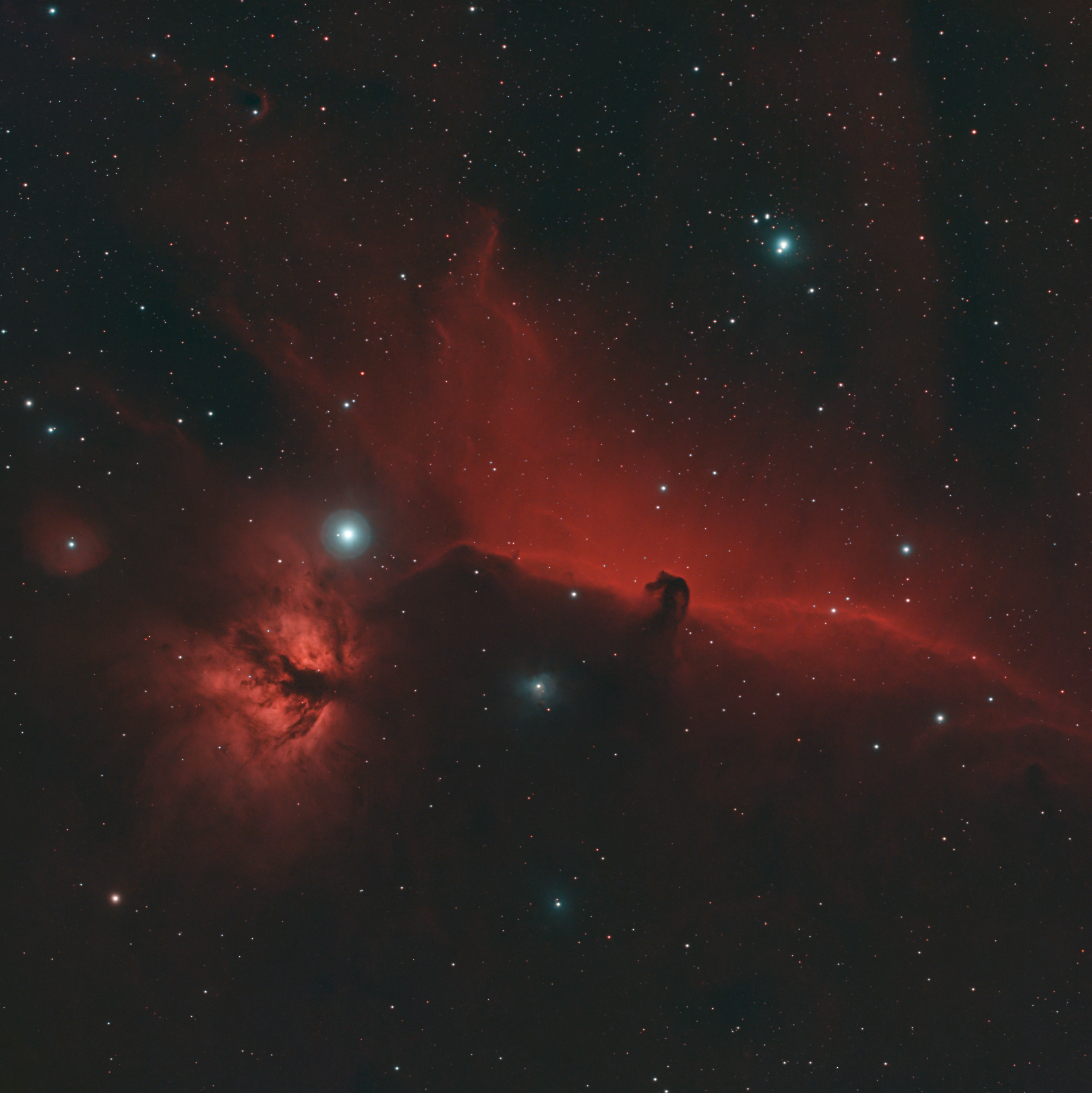 Impresionante Nebulosa Cabeza De Caballo En El Espacio Profundo · Foto ...