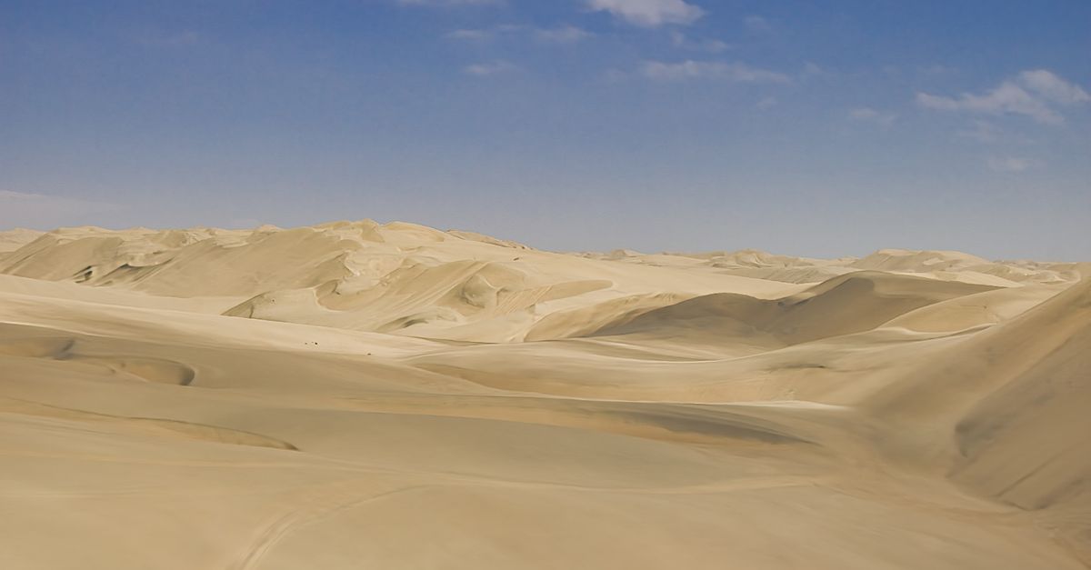 The 8 Deserts of the United States and What Makes Each Unique The 8 Deserts of the United States and What Makes Each Unique