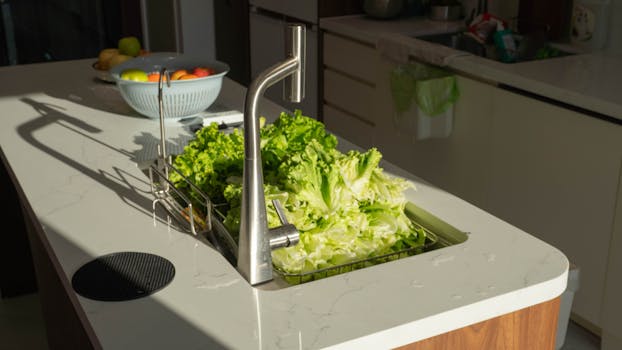 A sunlit modern kitchen counter with fresh lettuce and fruit bowl near a shiny faucet.