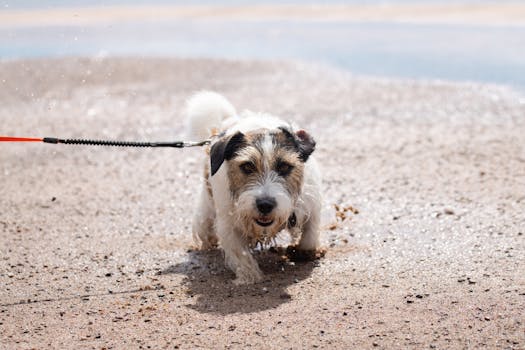 Free stock photo of active, baltic sea, beach