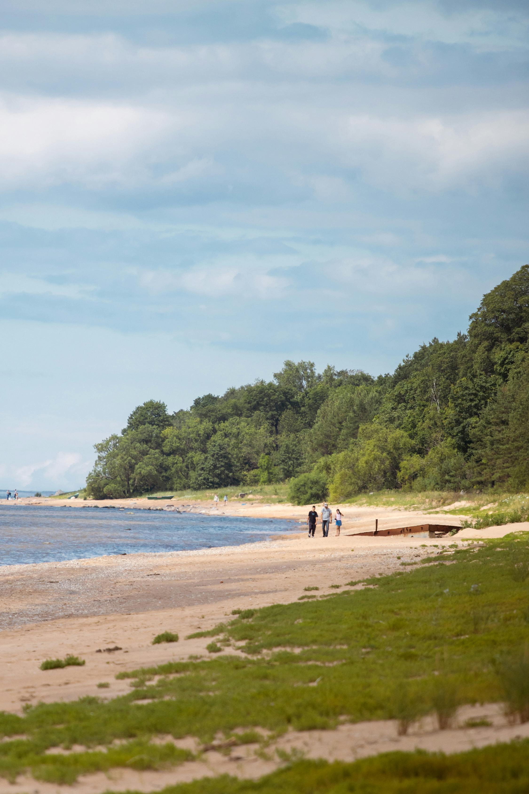 Free stock photo of baltic sea, beach, family