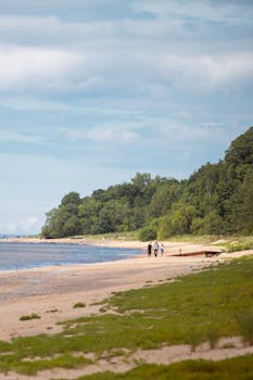 A peaceful family walk along a sandy beach by the Baltic Sea, surrounded by lush greenery.