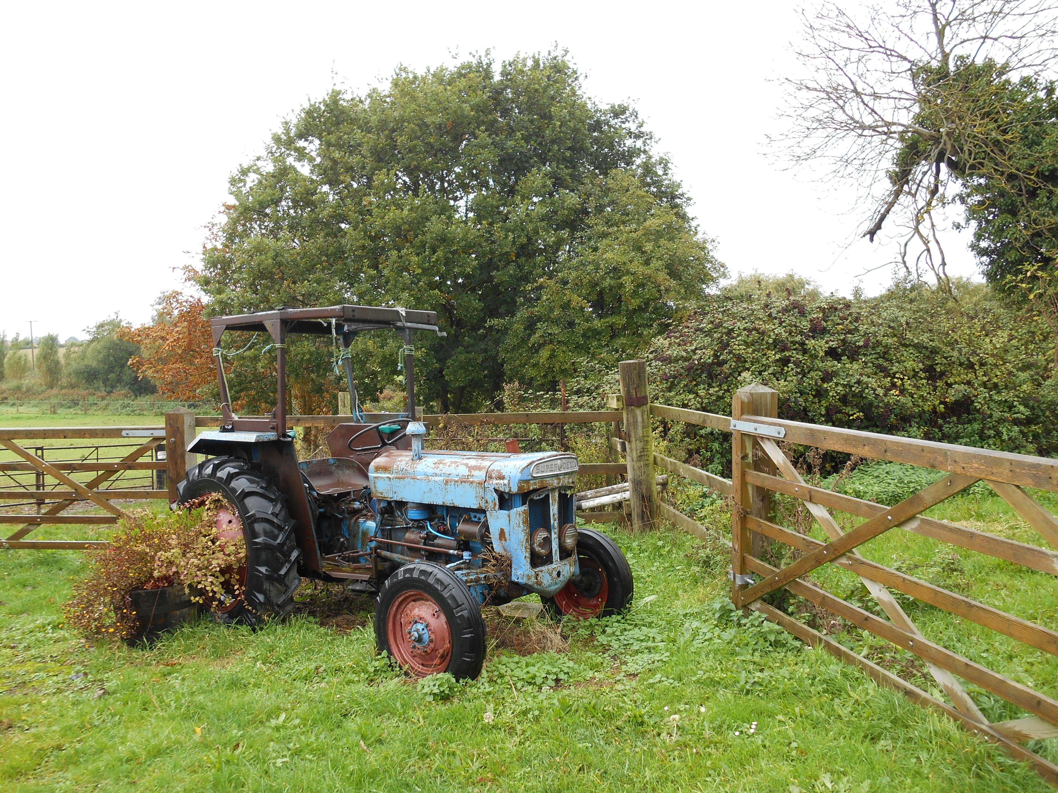 Vintage Blue Tractor in Rural Countryside Setting · Free Stock Photo