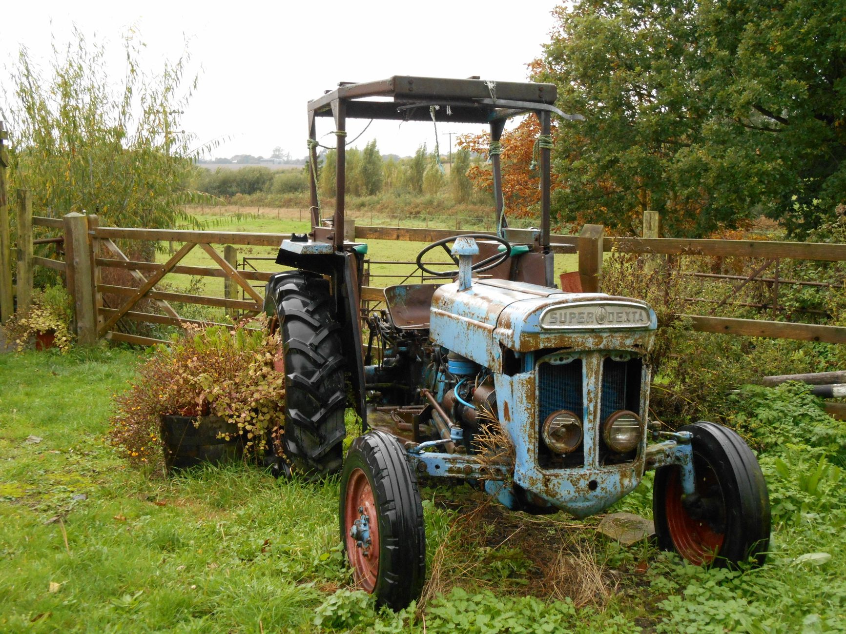 An old blue tractor sits in a rural field, surrounded by greenery and wooden fencing.