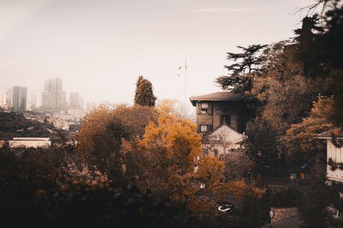 Free A serene autumn scene combining natural foliage and a distant urban skyline. Stock Photo
