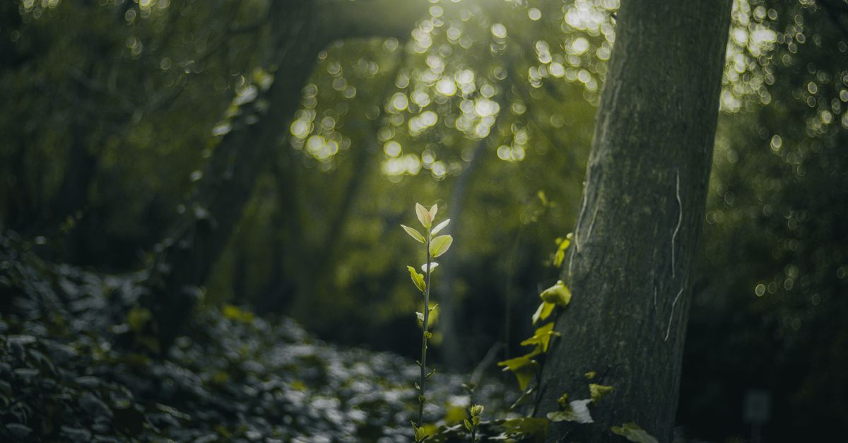 How Do I Create a 90-Day Growth Plan for My Online Store?