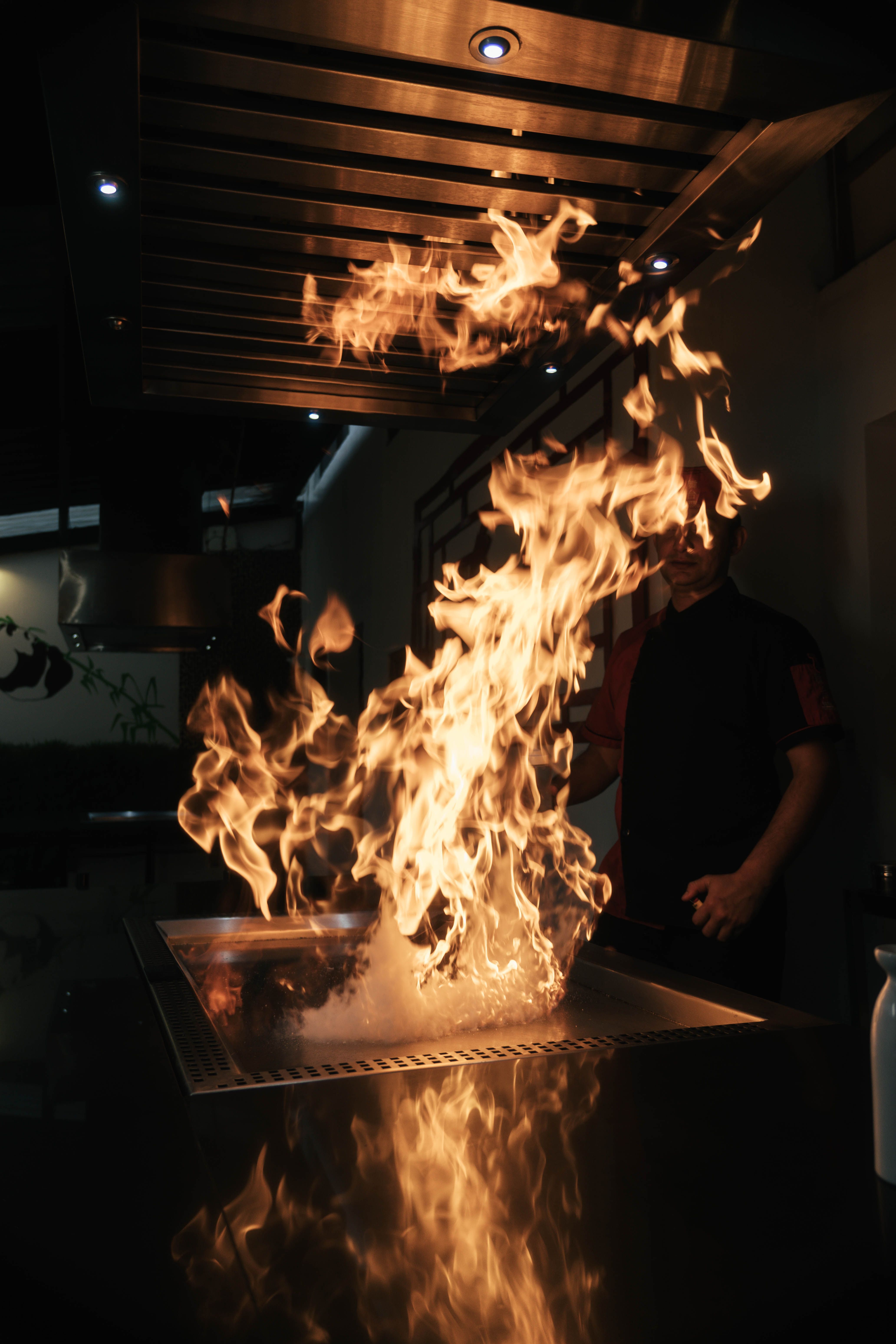 Exploring Performance and Power in Culinary Creations