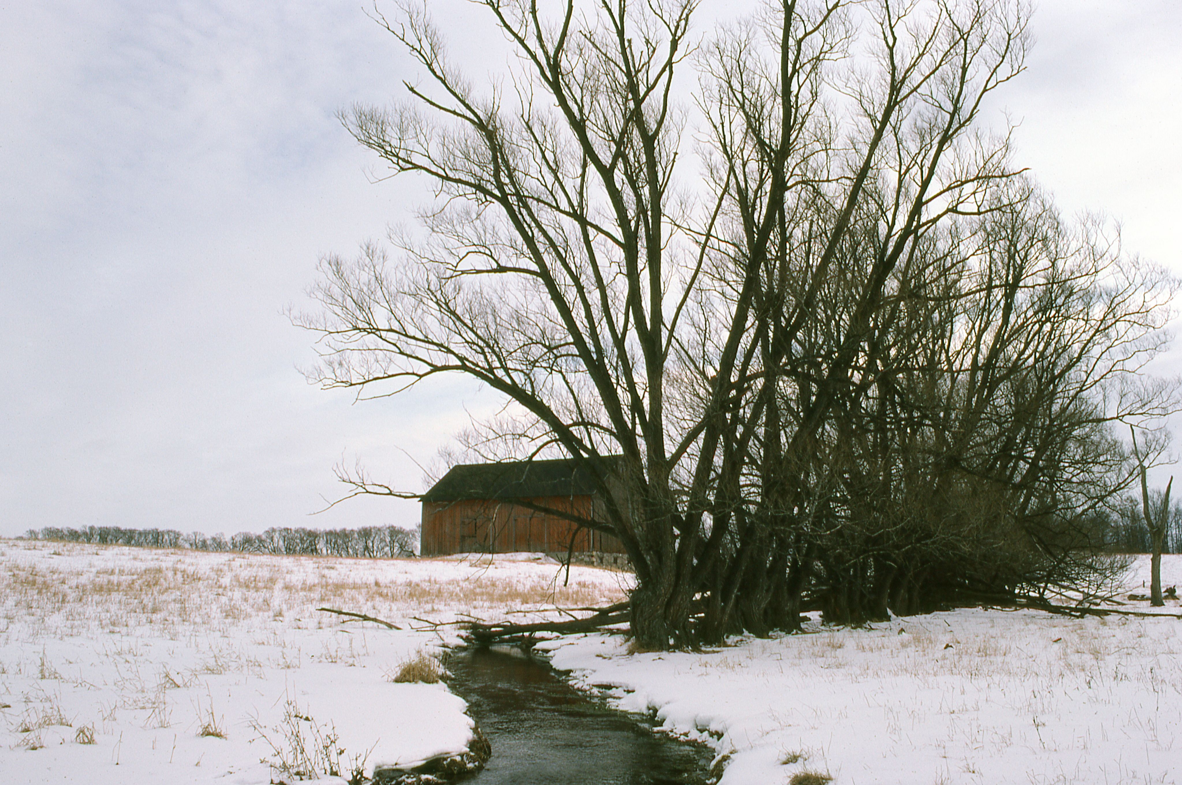 Serene Winter Farm Landscape with Trees and Creek · Free Stock Photo