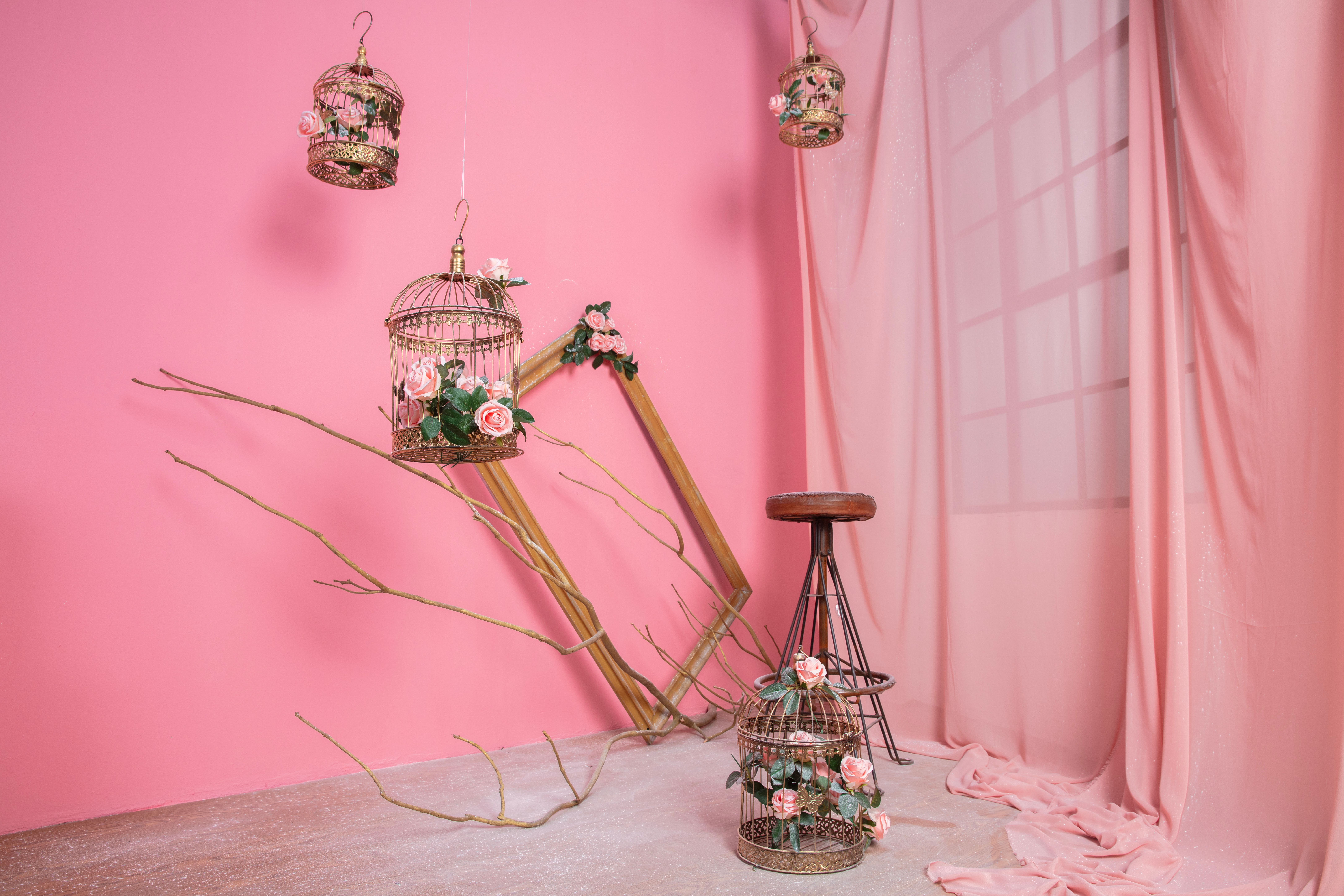 New creative photography studio opens with local vendors in downtown Girard — Photo by Thang Nguyen on Pexels