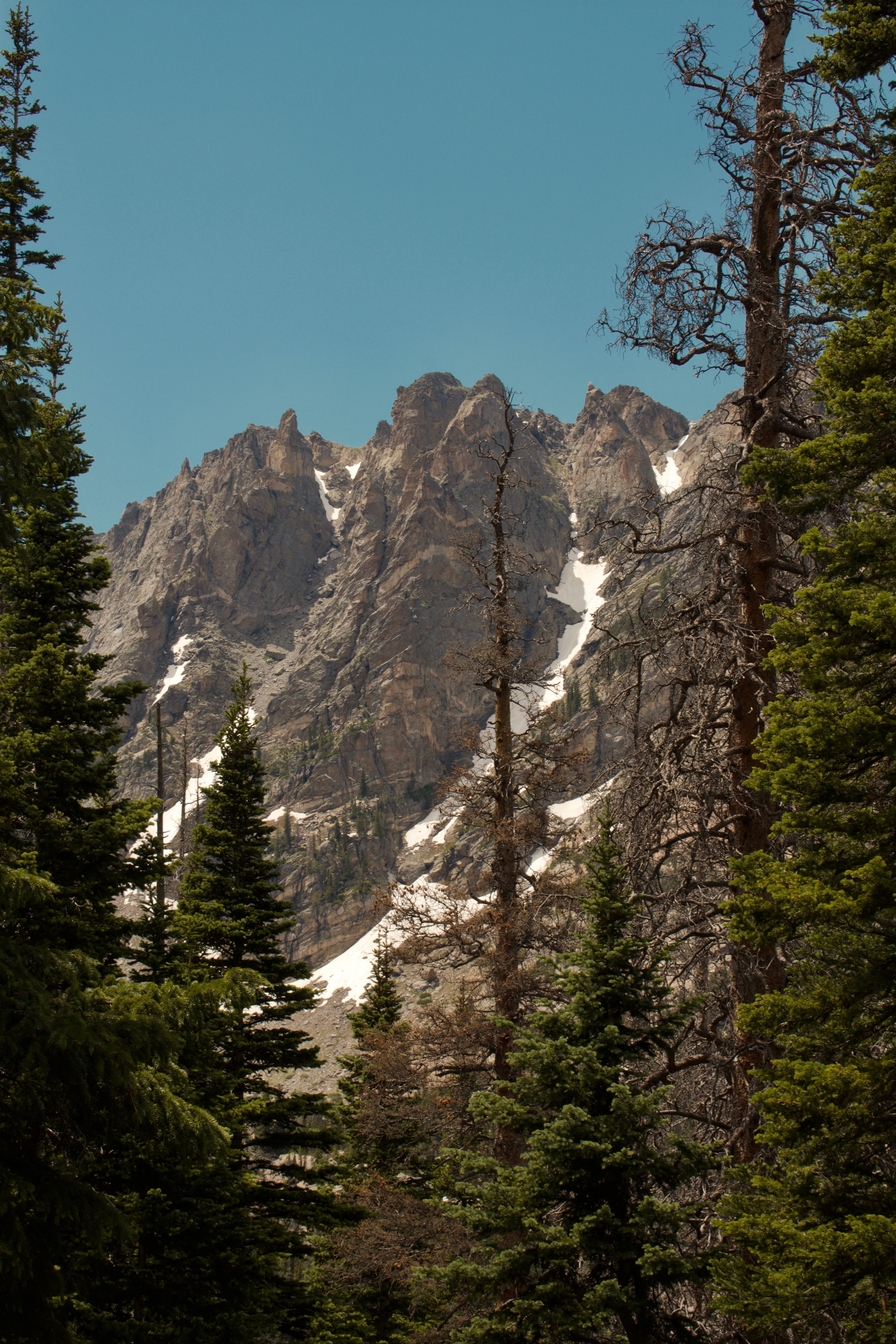 Majestic Mountain Peaks in Forest Landscape · Free Stock Photo
