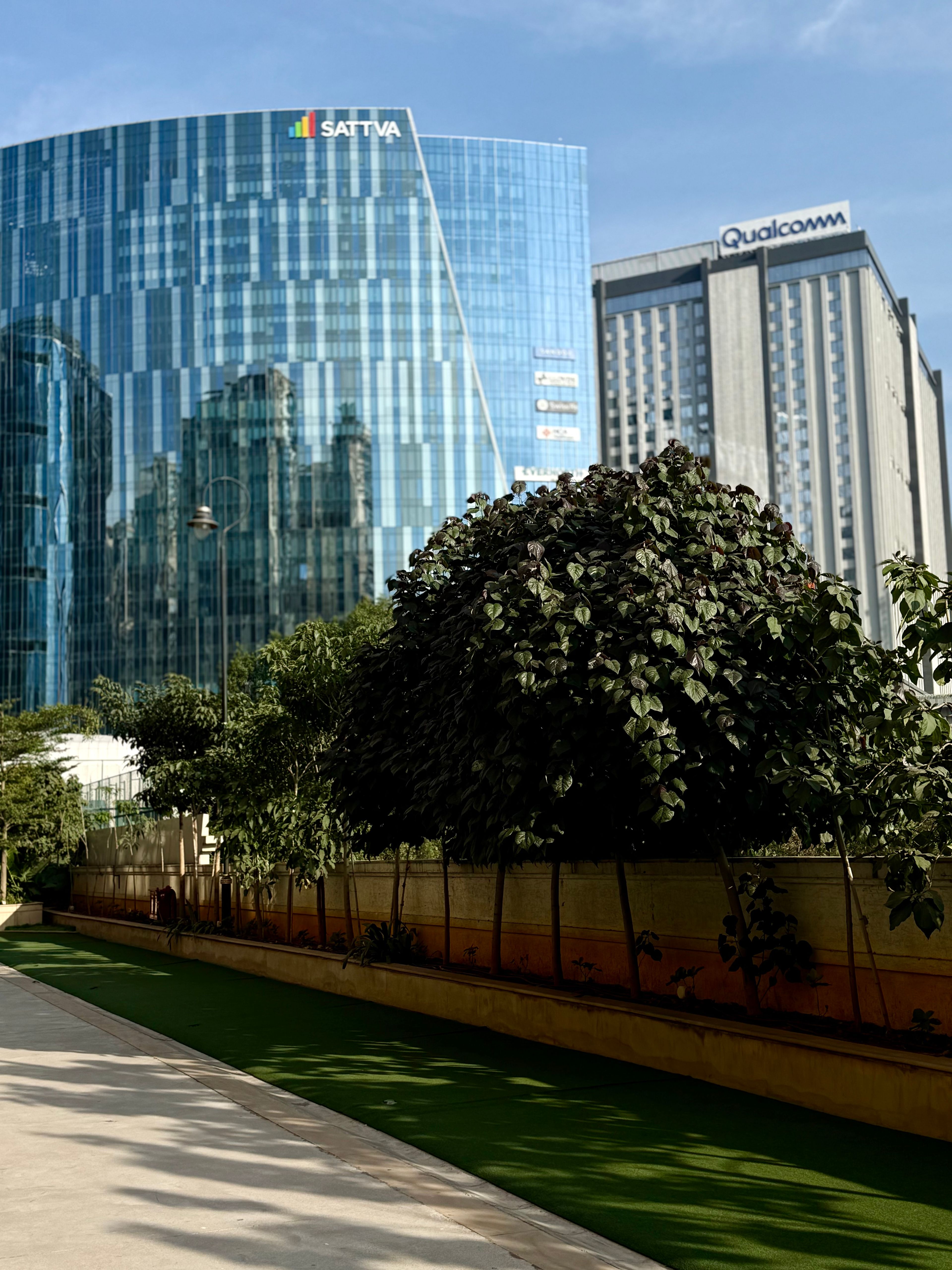 Modern office buildings among greenery in Hyderabad
