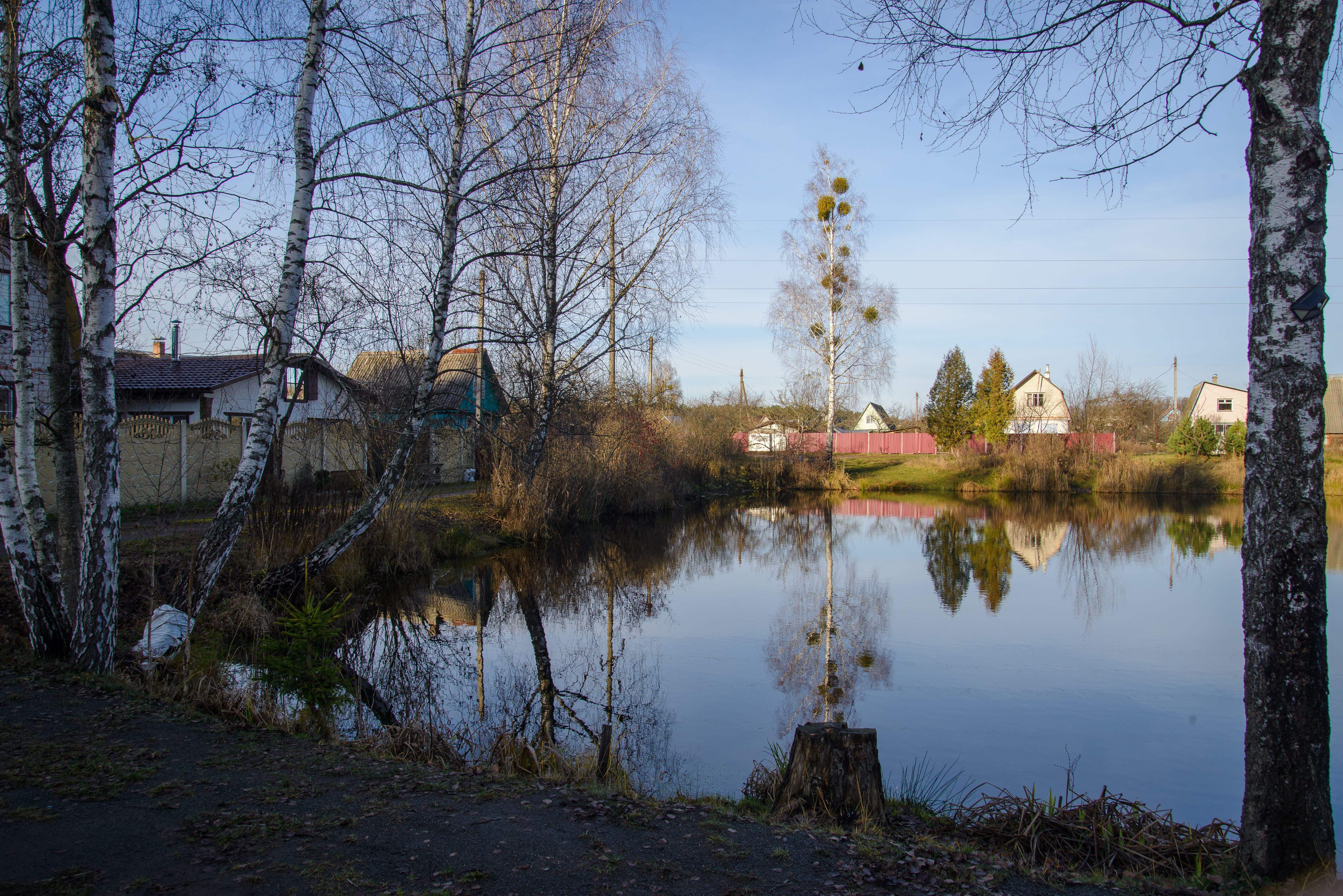 Serene Rural Landscape with Reflective Pond · Free Stock Photo