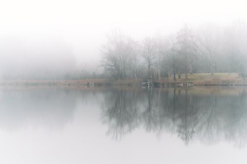 Free A tranquil misty lake scene reflecting bare trees and a solitary dock in a foggy atmosphere. Stock Photo