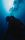 diver