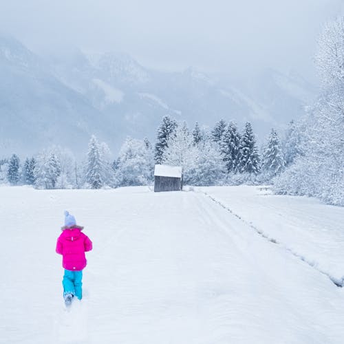 Person Wearing Pink Jacket and Blue Pants Walking in Snow