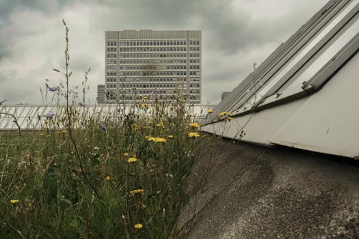 Wildflowers thrive on a city rooftop under an overcast sky.