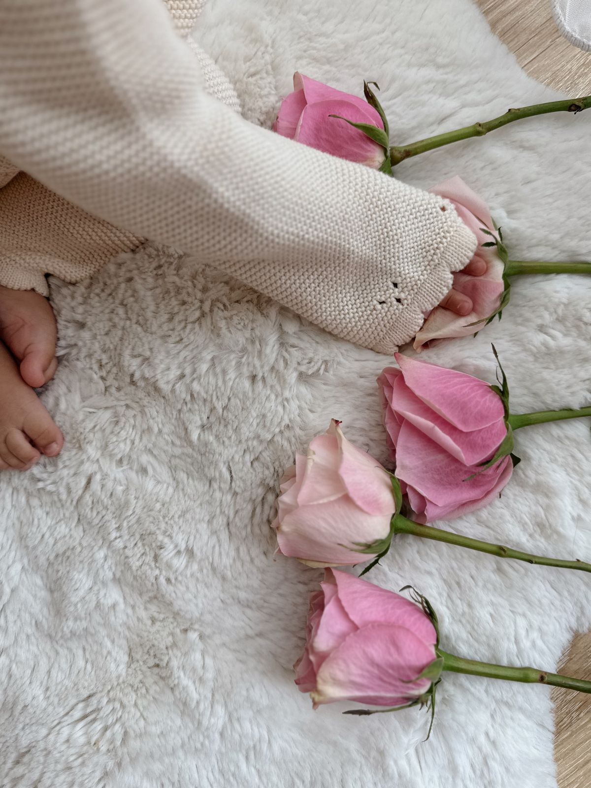 Beautiful Hand Account Photos, Download The BEST Free Beautiful Hand ...