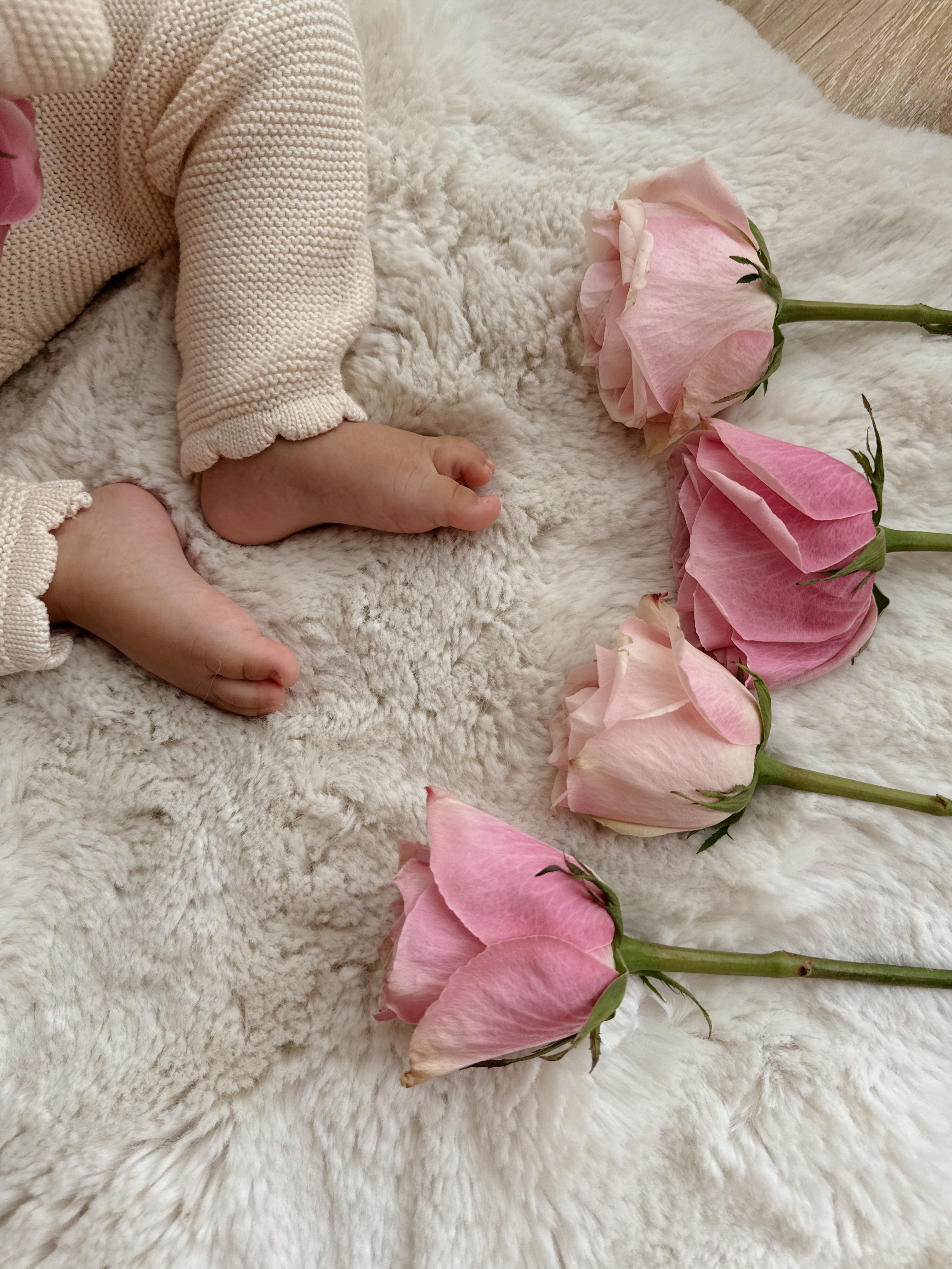 Baby in Cozy Knit with Pink Roses · Free Stock Photo