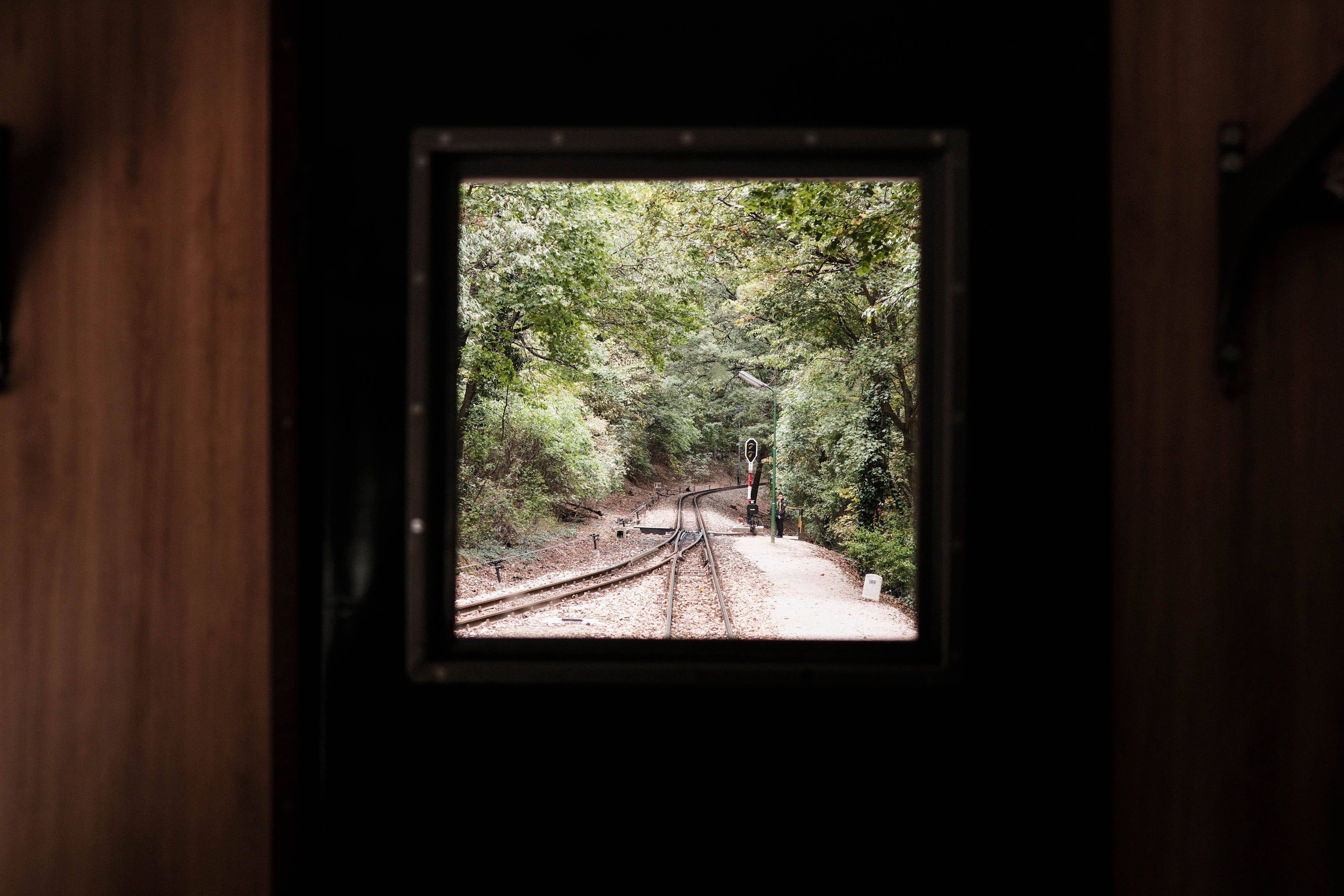 A view from a train window of tracks winding through a forest