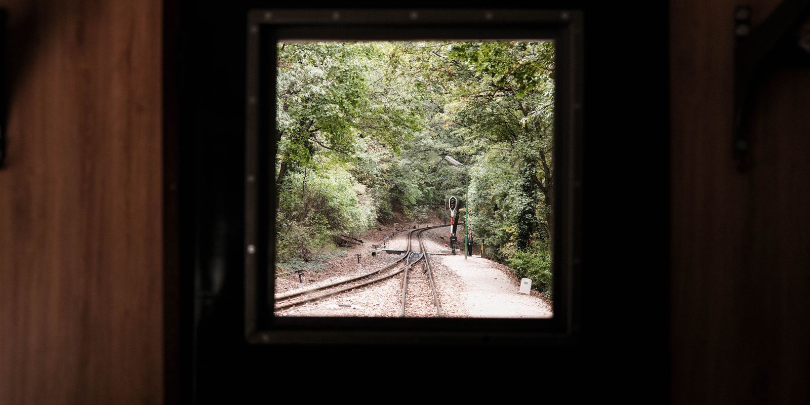 A view from a train window of tracks winding through a forest